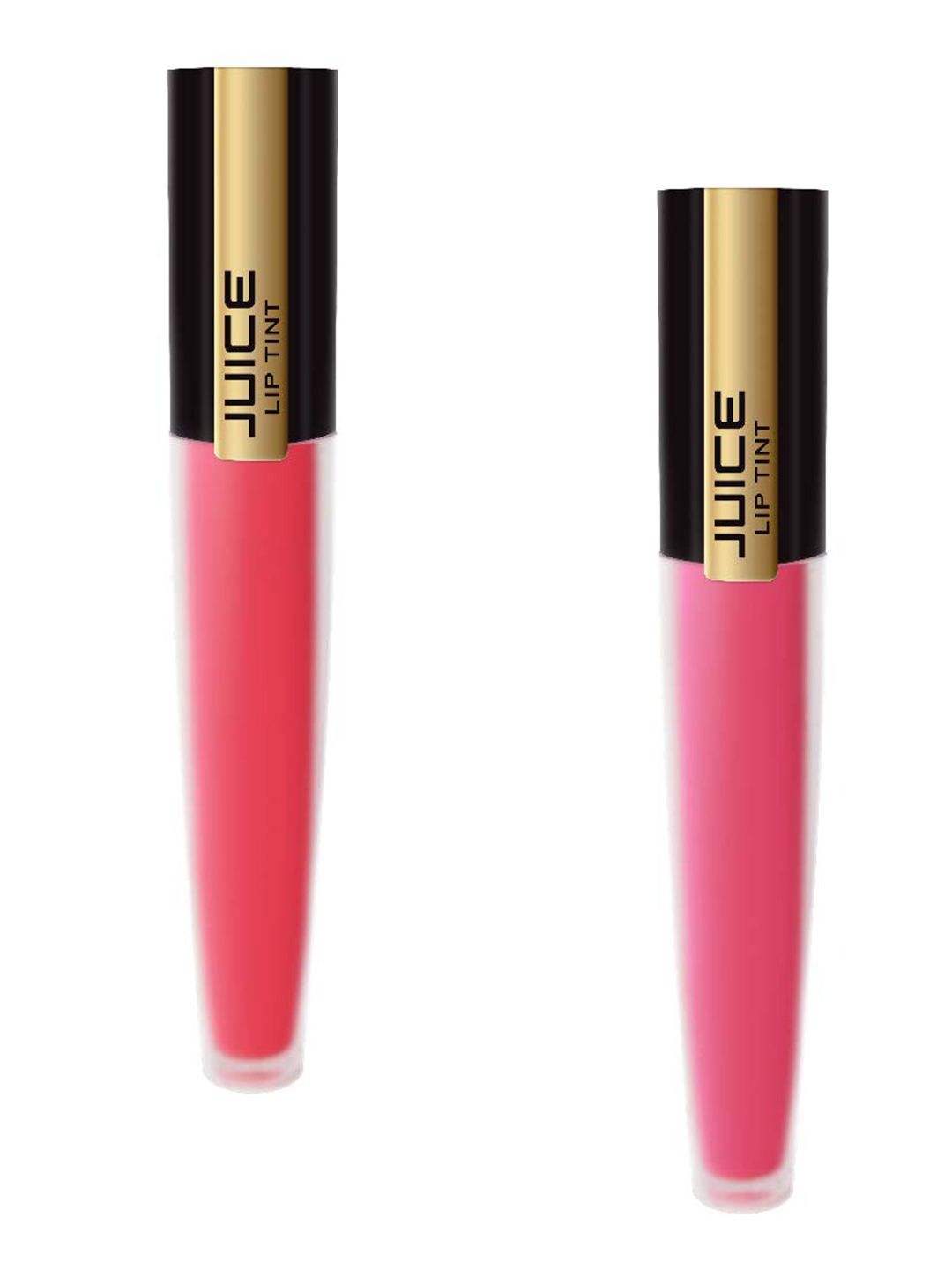 JUICE Set of 2 Matte Lip Tint - Smoky Rose M-10 & Dusty Rose M-11 Price in India