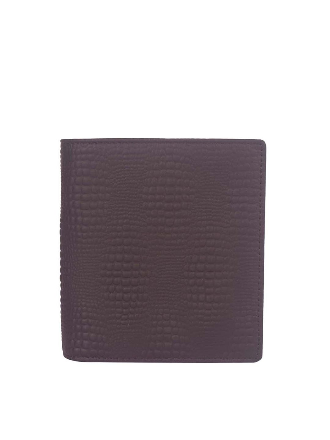 Bagkok Women Brown Textured PU Two Fold Wallet Price in India