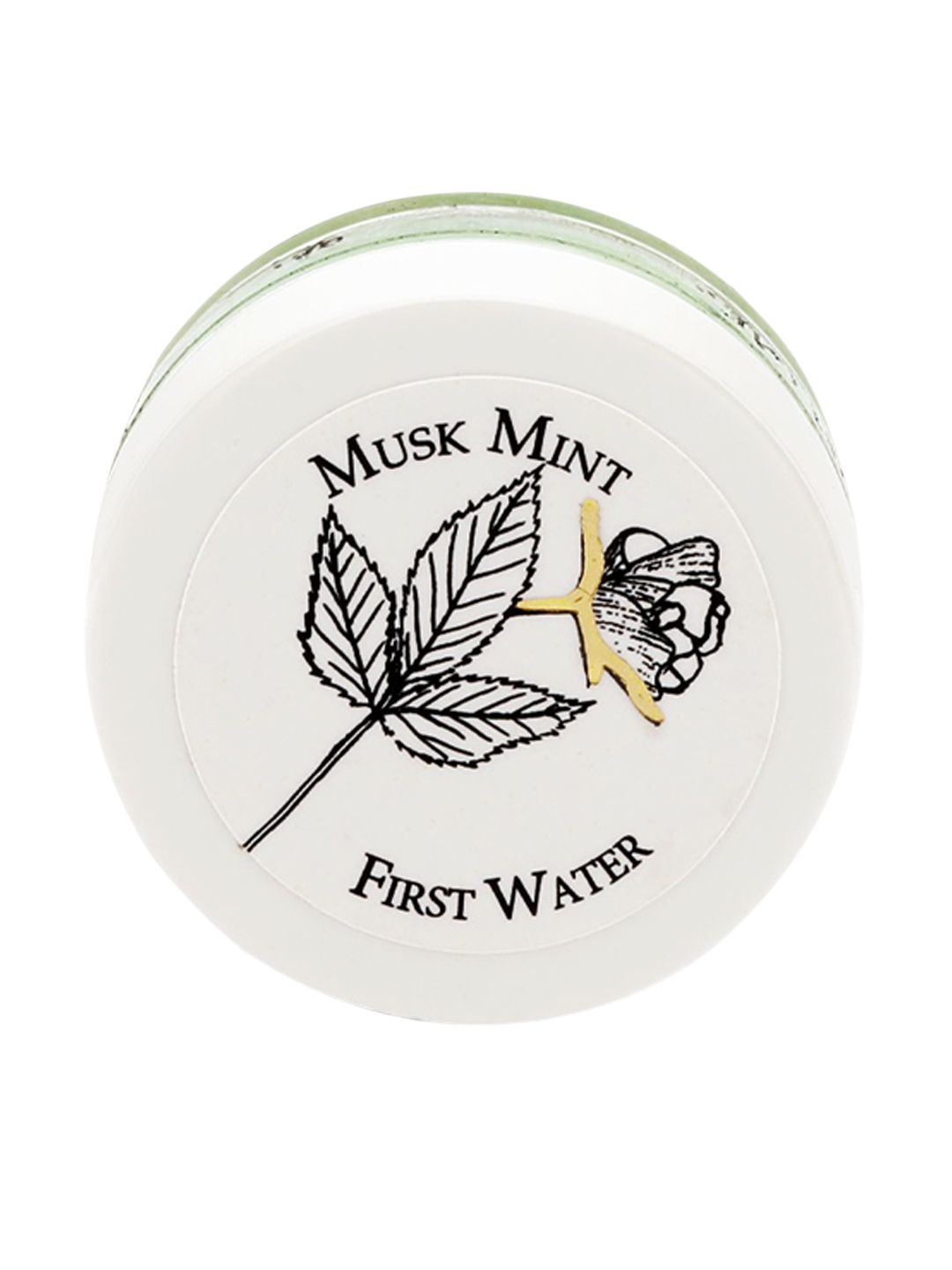 FIRST WATER Musk Mint Solid Perfume - 10 ml Price in India