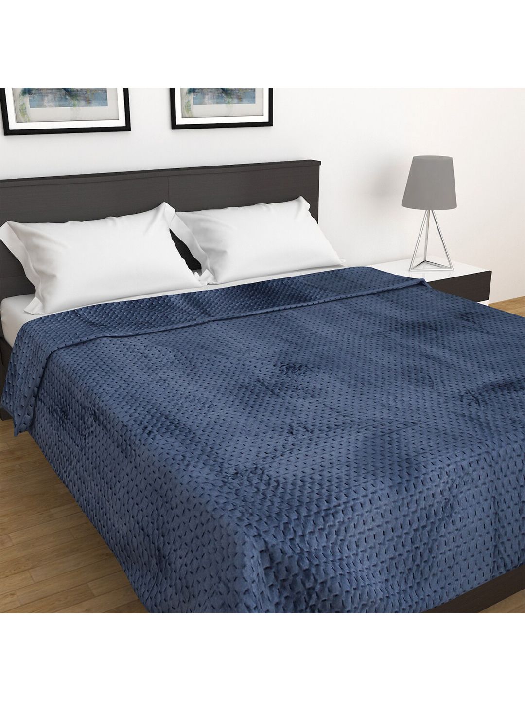 Home Centre Blue Mild Winter 210 GSM Double Bed Blanket Price in India