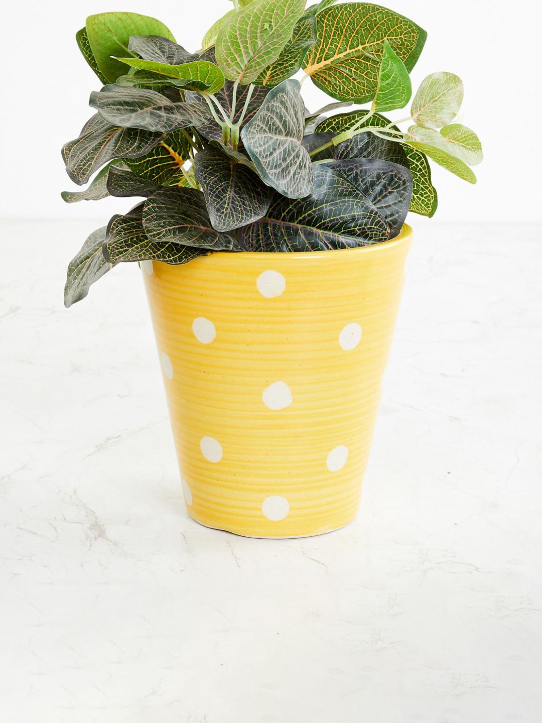 Home Centre Yellow Soulful India Printed Ceramic Planter Price in India