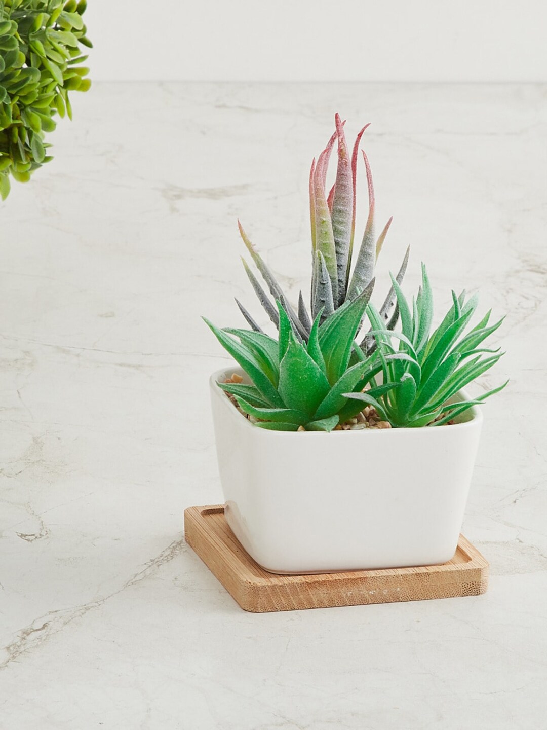Home Centre Fiesta White Artificial Plant With Pot & Plate Price in India