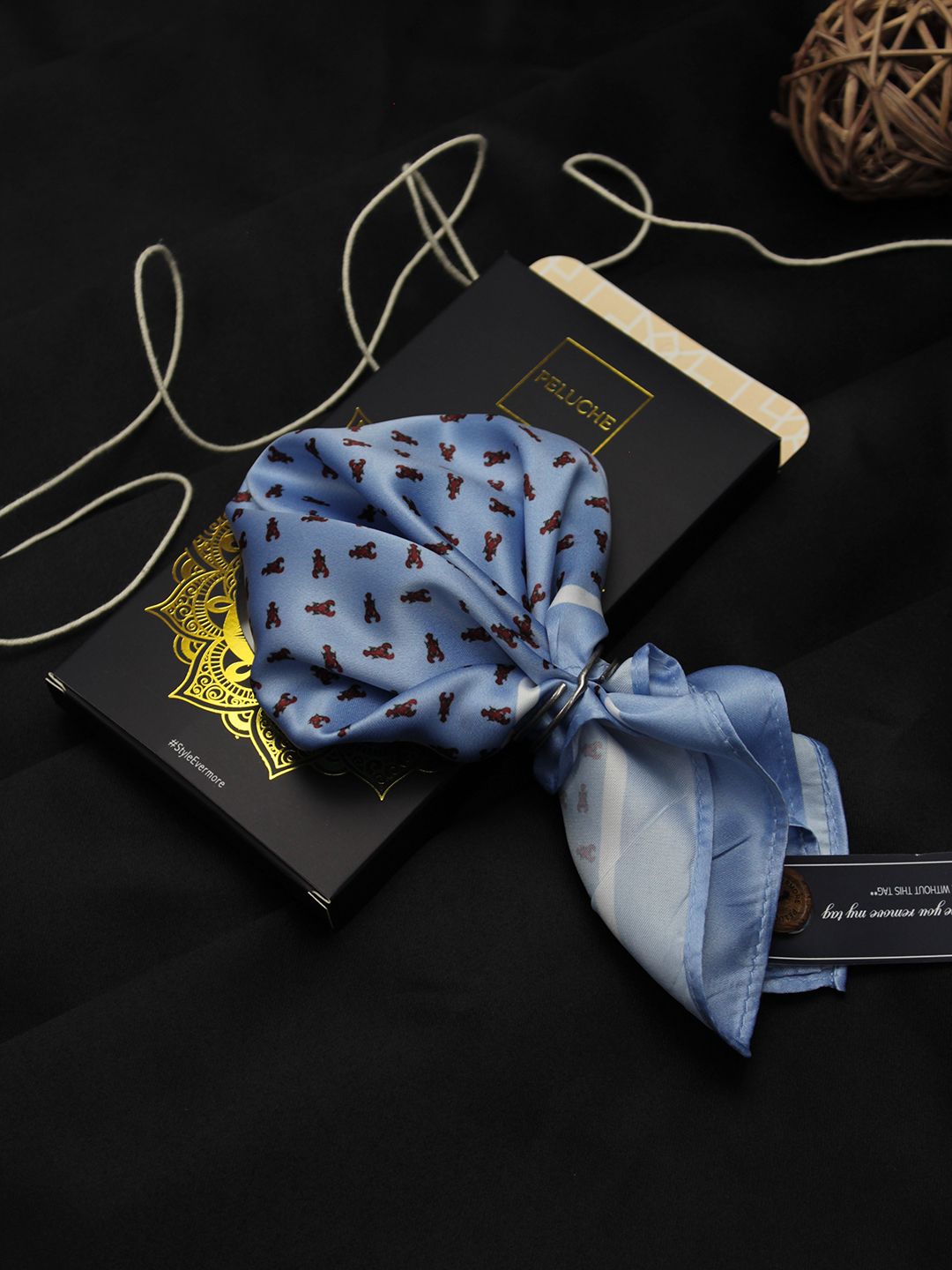 PELUCHE Men Blue & Red Printed Pocket Square