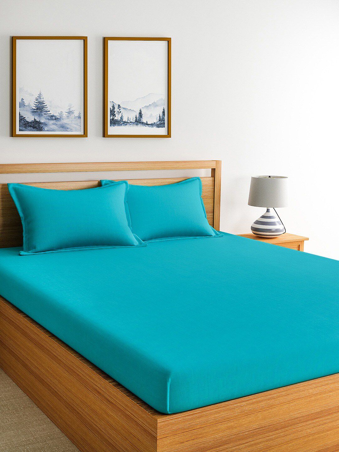 Home Ecstasy Unisex Turquoise Blue Solid 150 TC Queen Bedsheet with 2 Pillow Covers Price in India