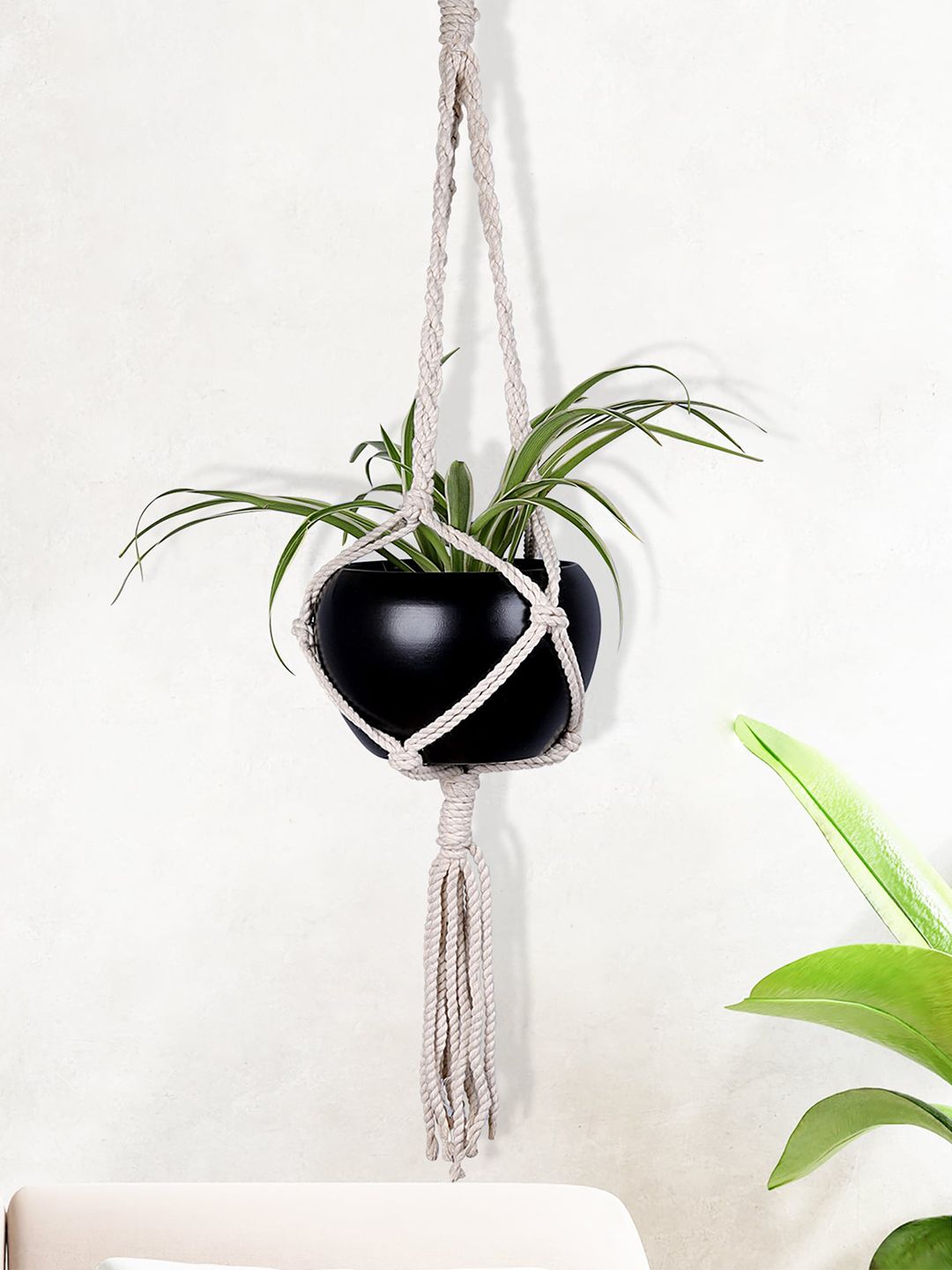 Homesake Set Of 2 Black & Beige Hanging Planters With Pot Price in India