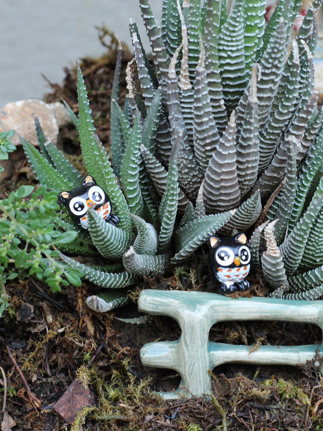 TAYHAA Set of 12 Brown & Black Toy Owl Garden Accessories Price in India