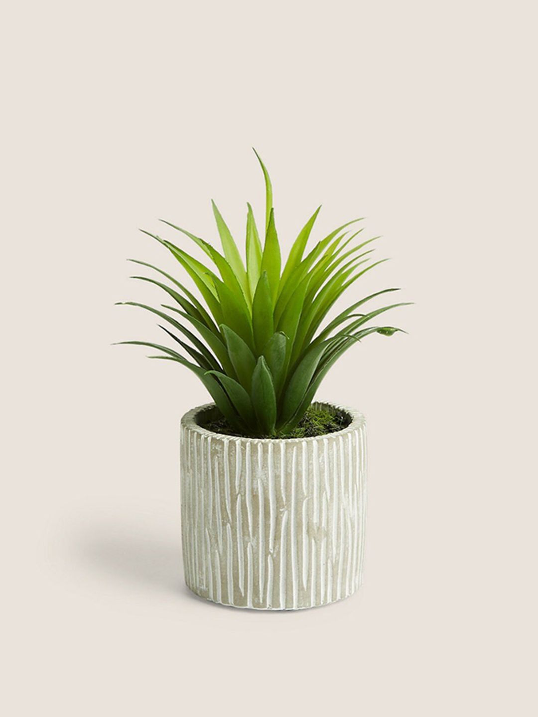 Marks & Spencer Green & Grey Artificial Plant With Pot Price in India