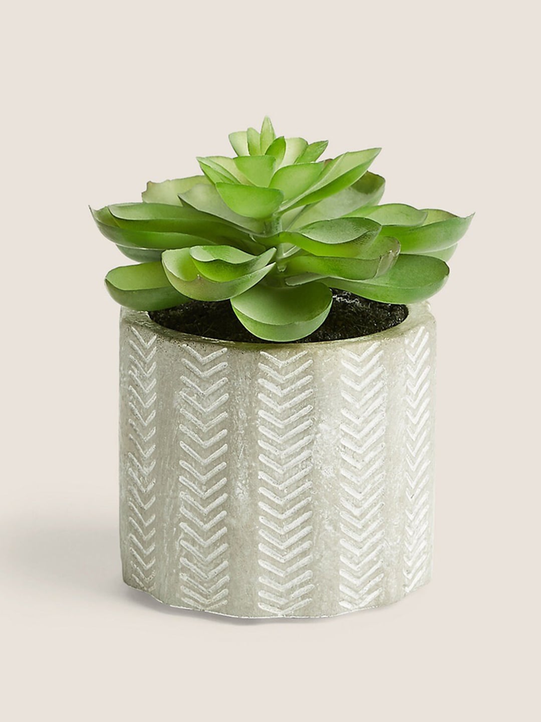 Marks & Spencer Green & White Artificial Succulent Plant With Pot Price in India