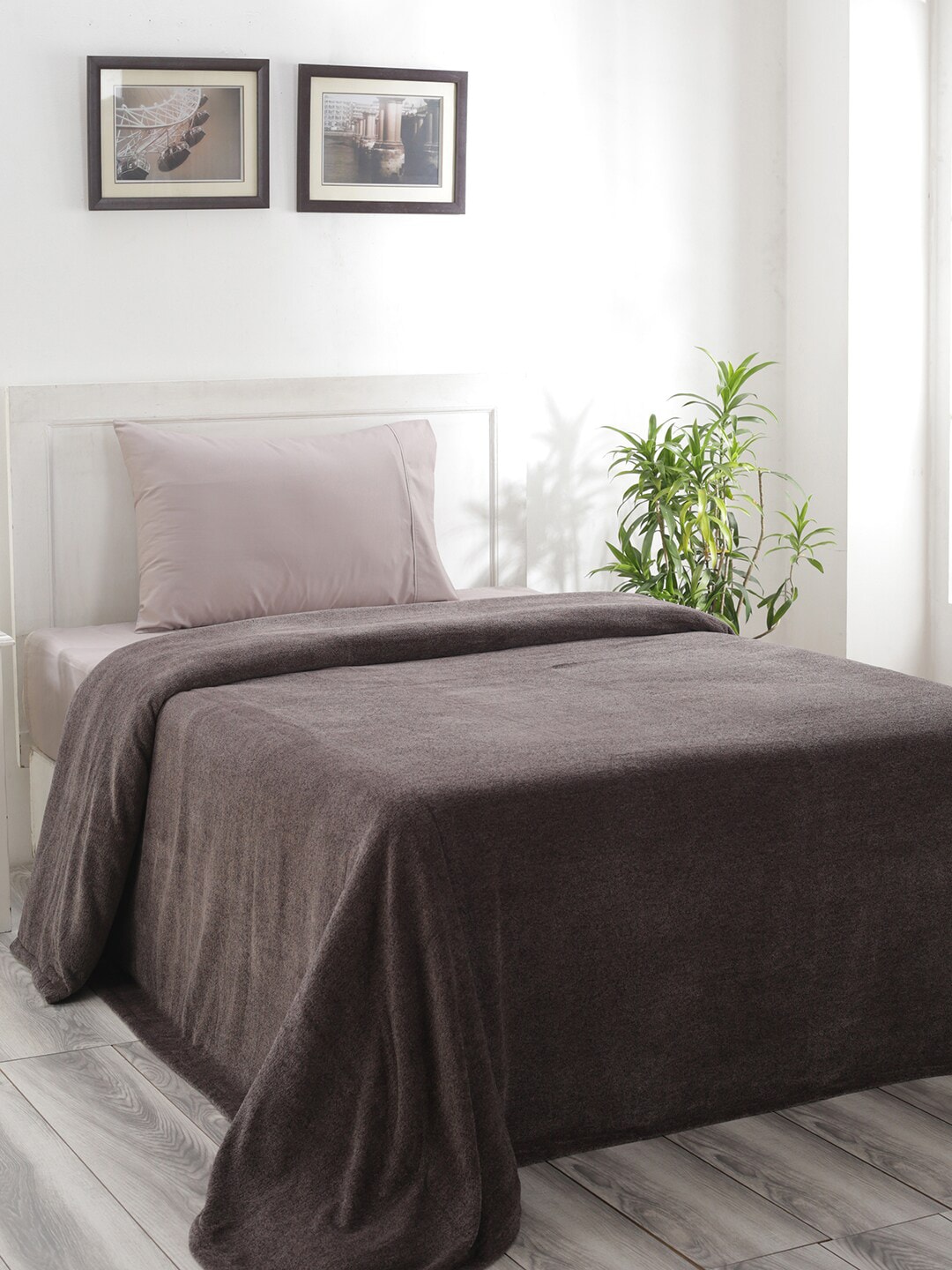 MASPAR Grey Colorart Charlotte 310 GSM Cotton Single Bed Cover Price in India