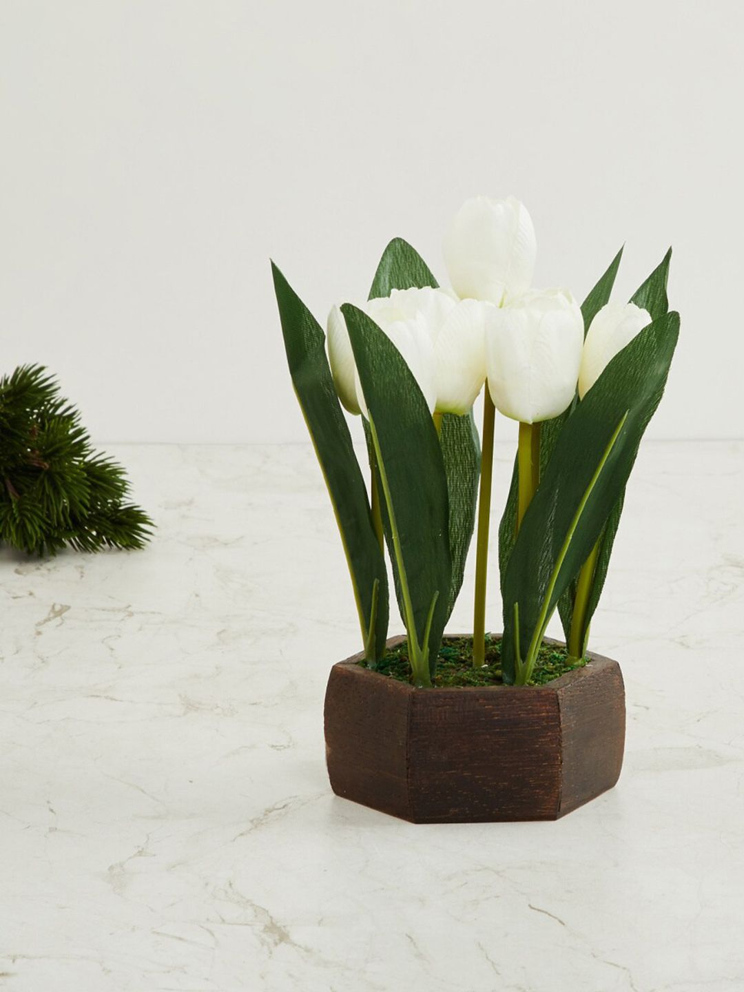 Home Centre White & Green Fiesta Artificial Plant With Pot Price in India