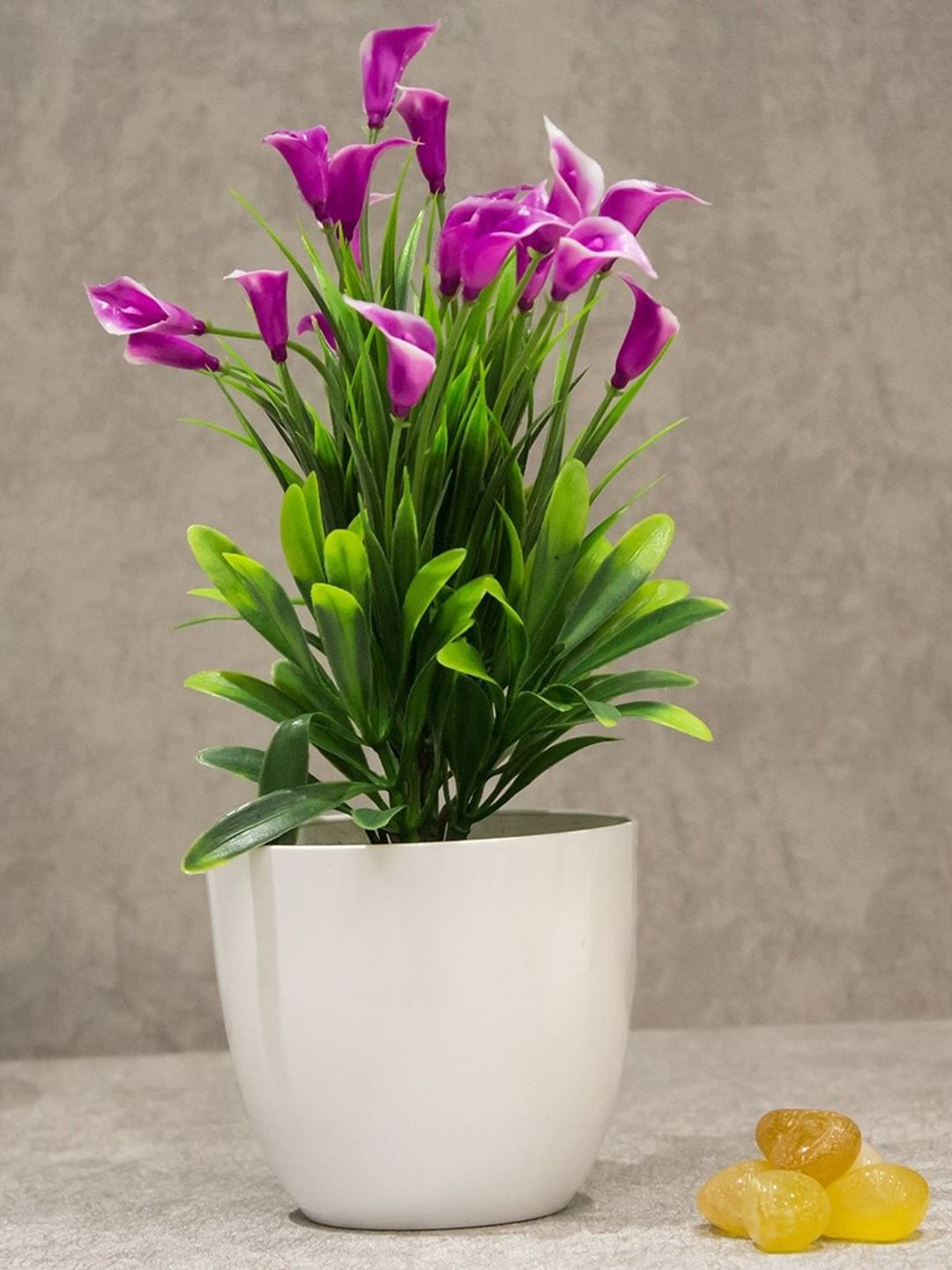 PolliNation Purple & Green Artificial Bonsai Plant with Plastic Pot Price in India