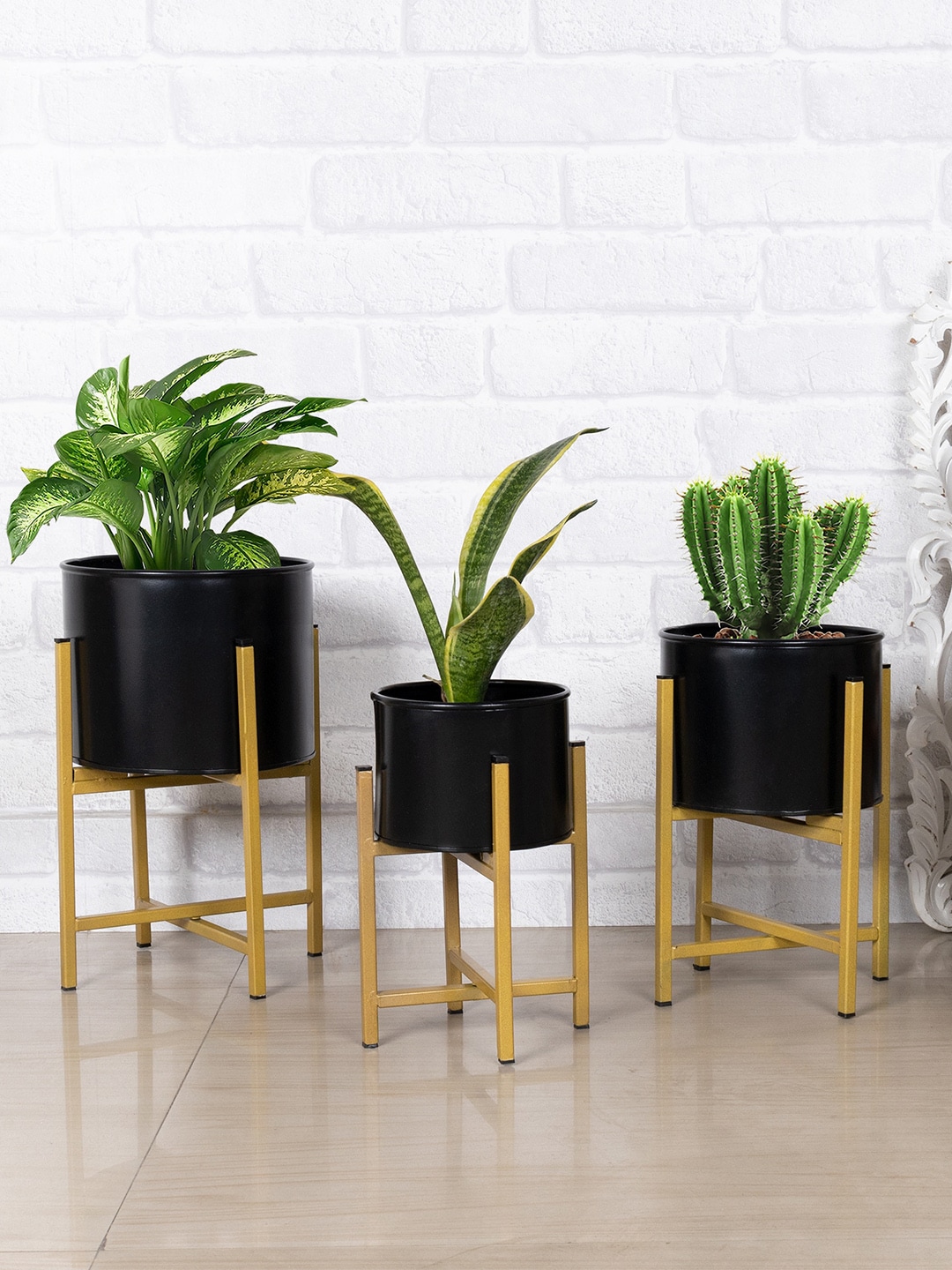 Homesake Set of 3 Mid Century Planters with Metal Stand with Black Plant Pot Price in India