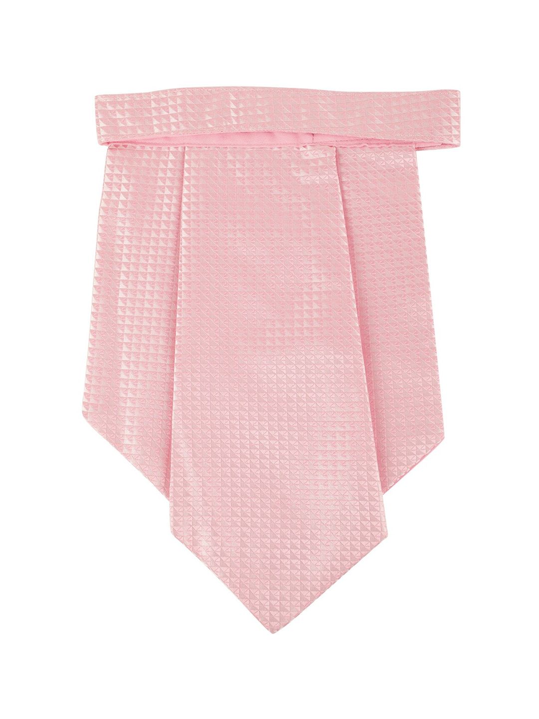 Alvaro Castagnino Men Pink Printed Cravat Tie