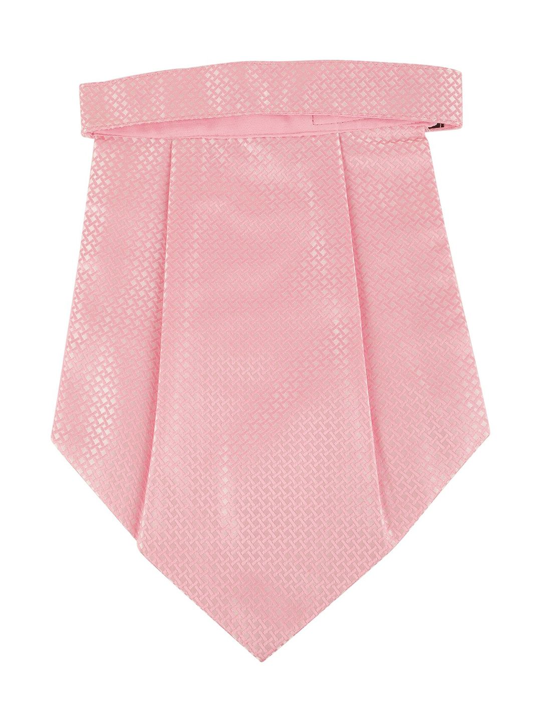 Alvaro Castagnino Men Pink Solid Cravat