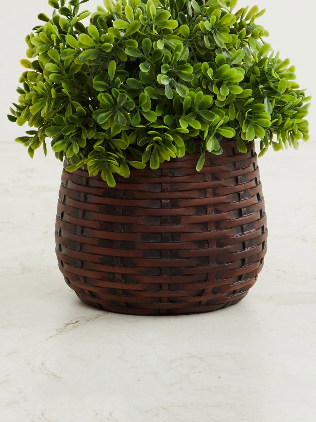 Home Centre Brown Textured Polyresin Planter Price in India