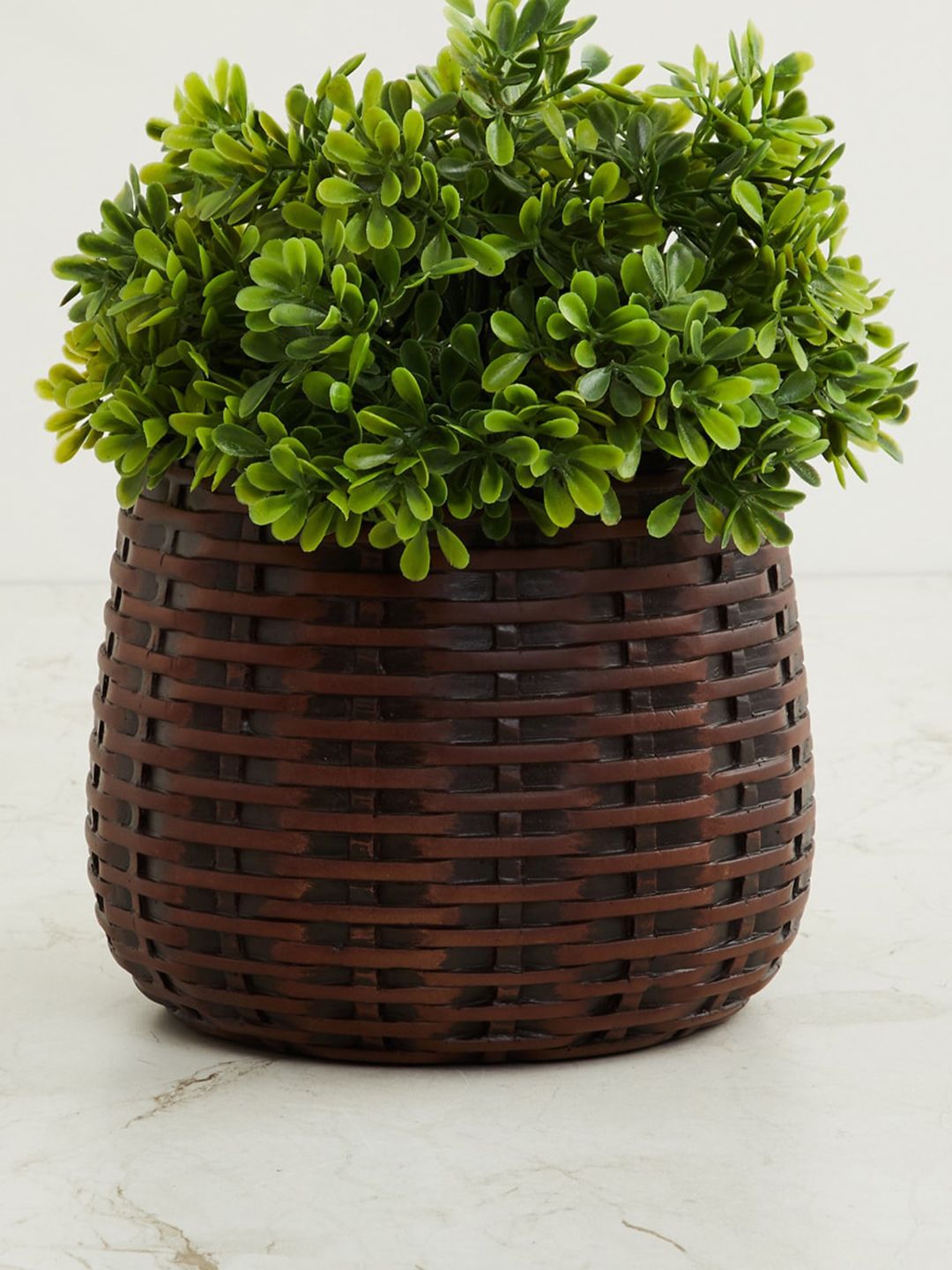 Home Centre Brown Textured Polyresin Floor Planter Price in India