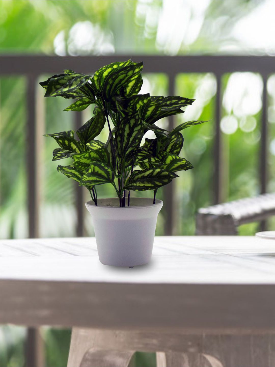 MARKET99 Green Artificial Plant With Pot Price in India