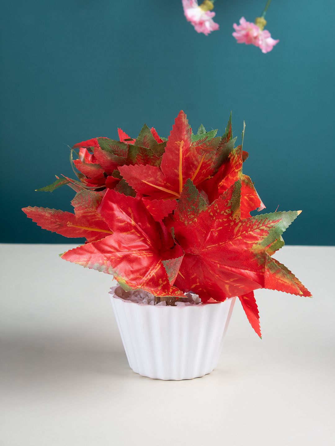 MARKET99 Red Mini Cadian & Coloured Mini Ficus Artificial Plants With Pot Price in India
