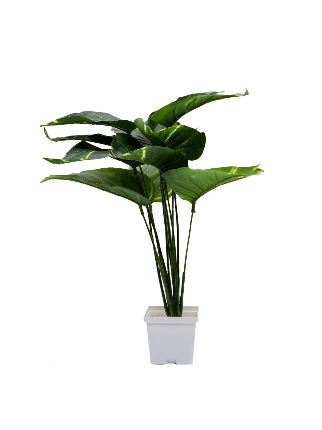 MARKET99 Green Croton Artificial Plant With Pot Price in India
