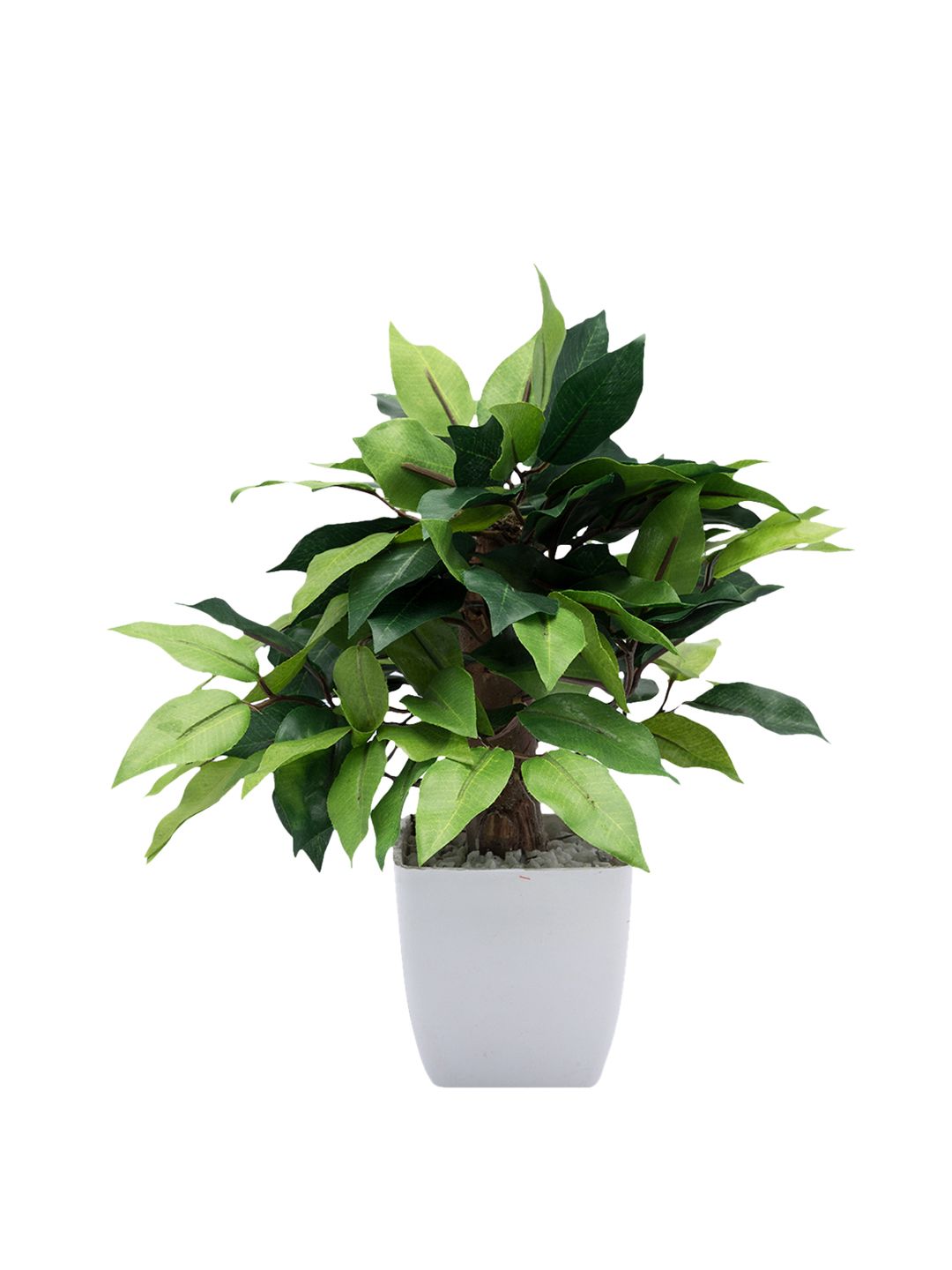 MARKET99 Green Bonsai Artificial Plants With Pot Price in India