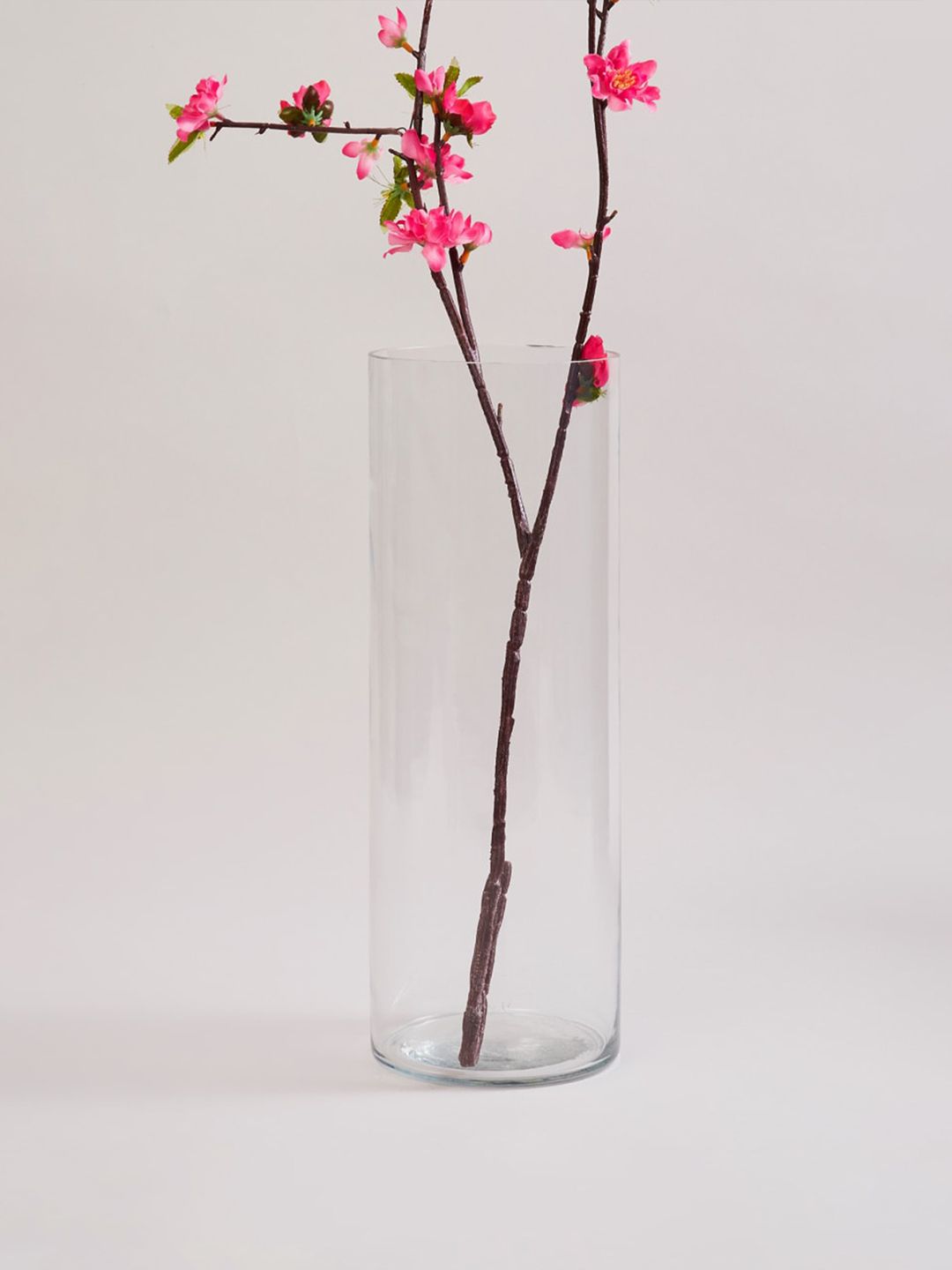 Home Centre Transparent Cylindrical Vase Price in India