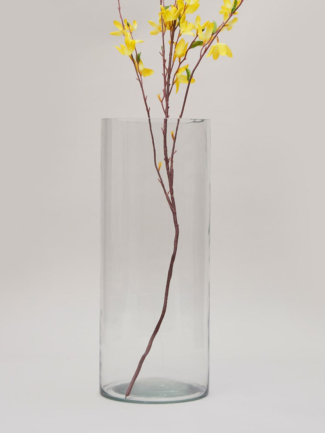 Home Centre Transparent Solid Cylindrical Glass Vases Price in India