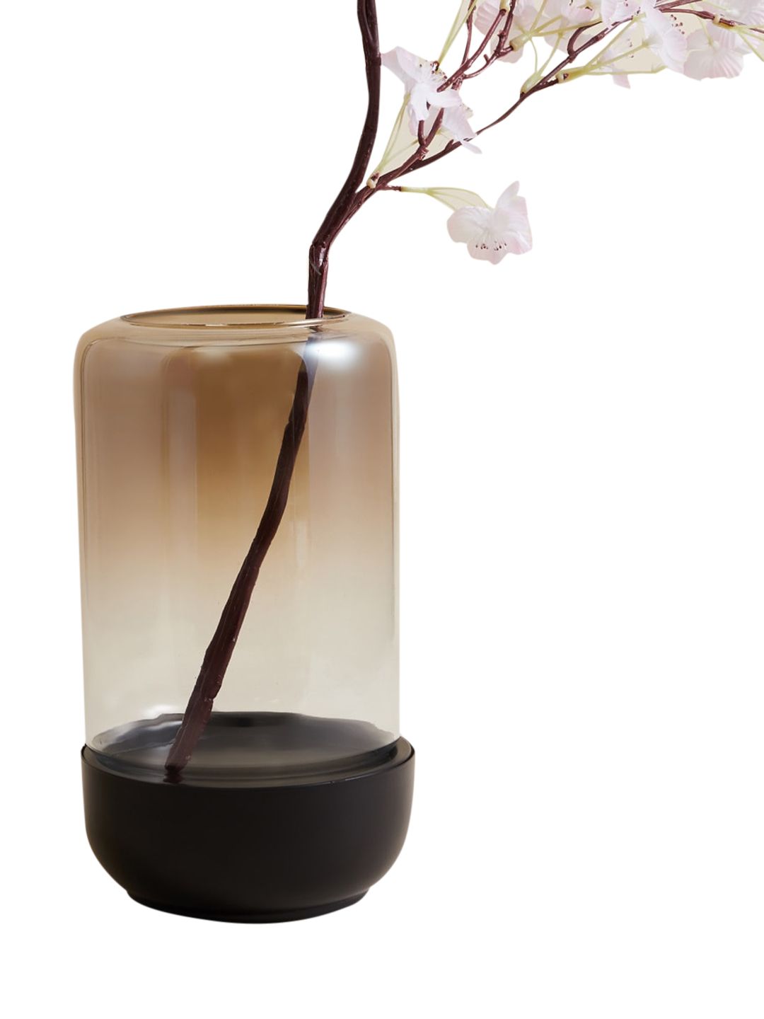 Home Centre Transparent & Black Glass Vase With Holder Price in India