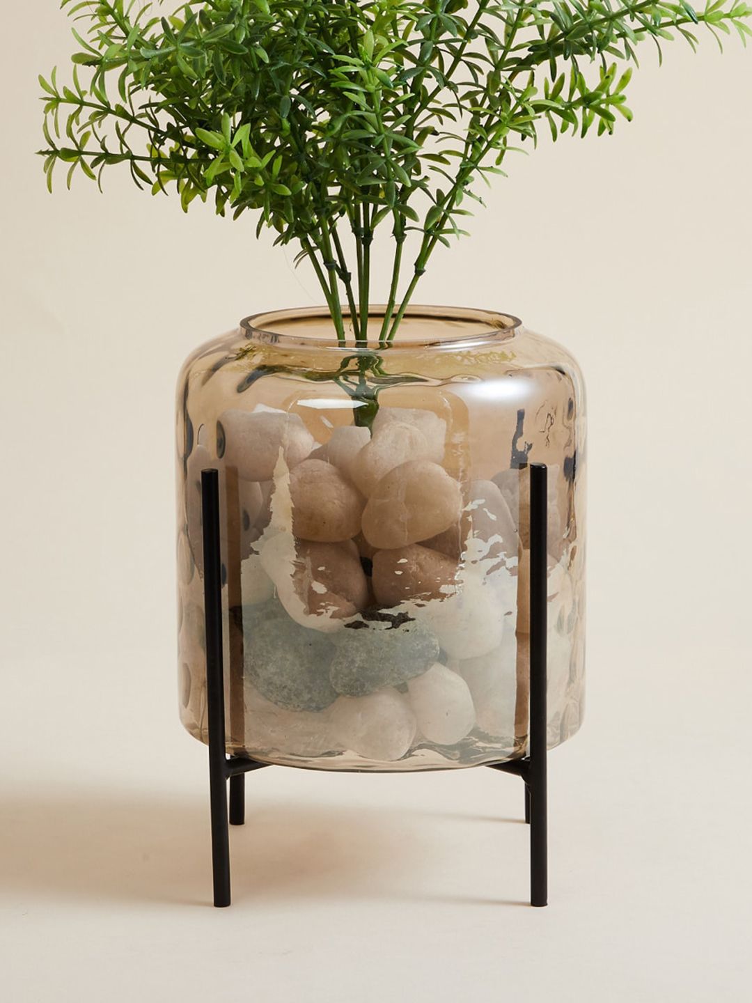 Home Centre Transparent  Glass Planter With Stand Price in India