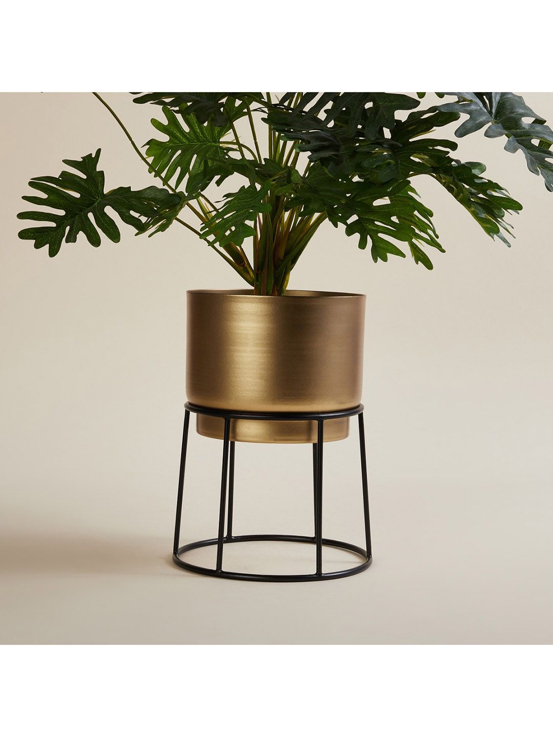 Home Centre  Gold-Coloured Solid  Planter With Stand Price in India