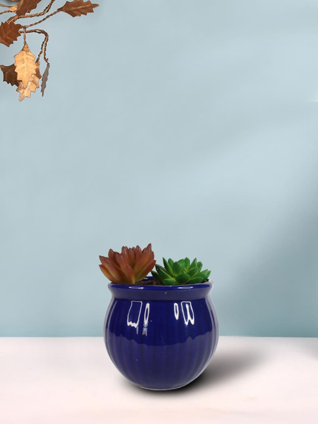 Wonderland Navy Blue Solid Ceramic Planter Price in India