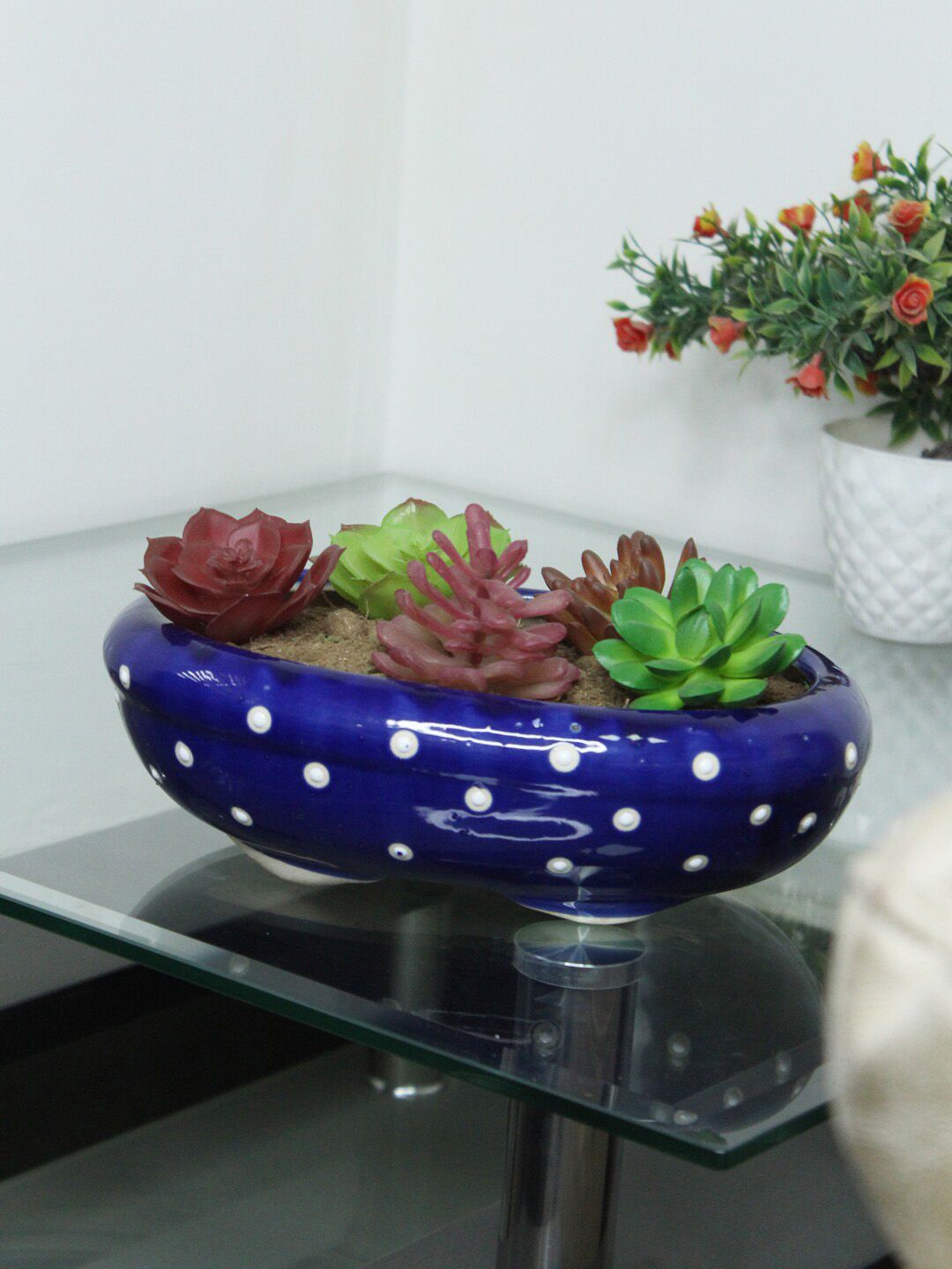 Wonderland Blue Printed Ceramic Flower Pot Dotted Bonsai Tray Price in India