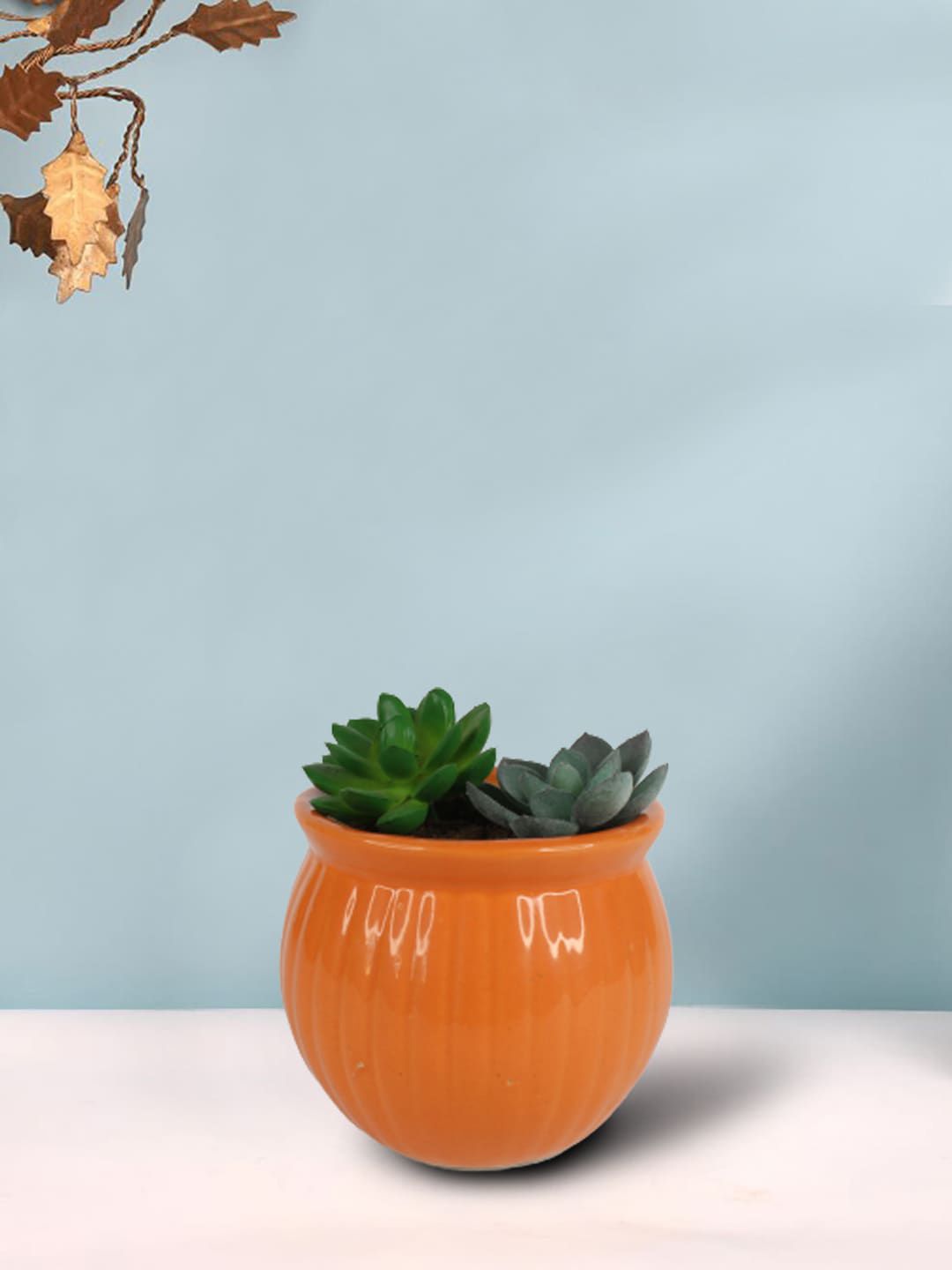 Wonderland Orange Ceramic Flower Pot Price in India