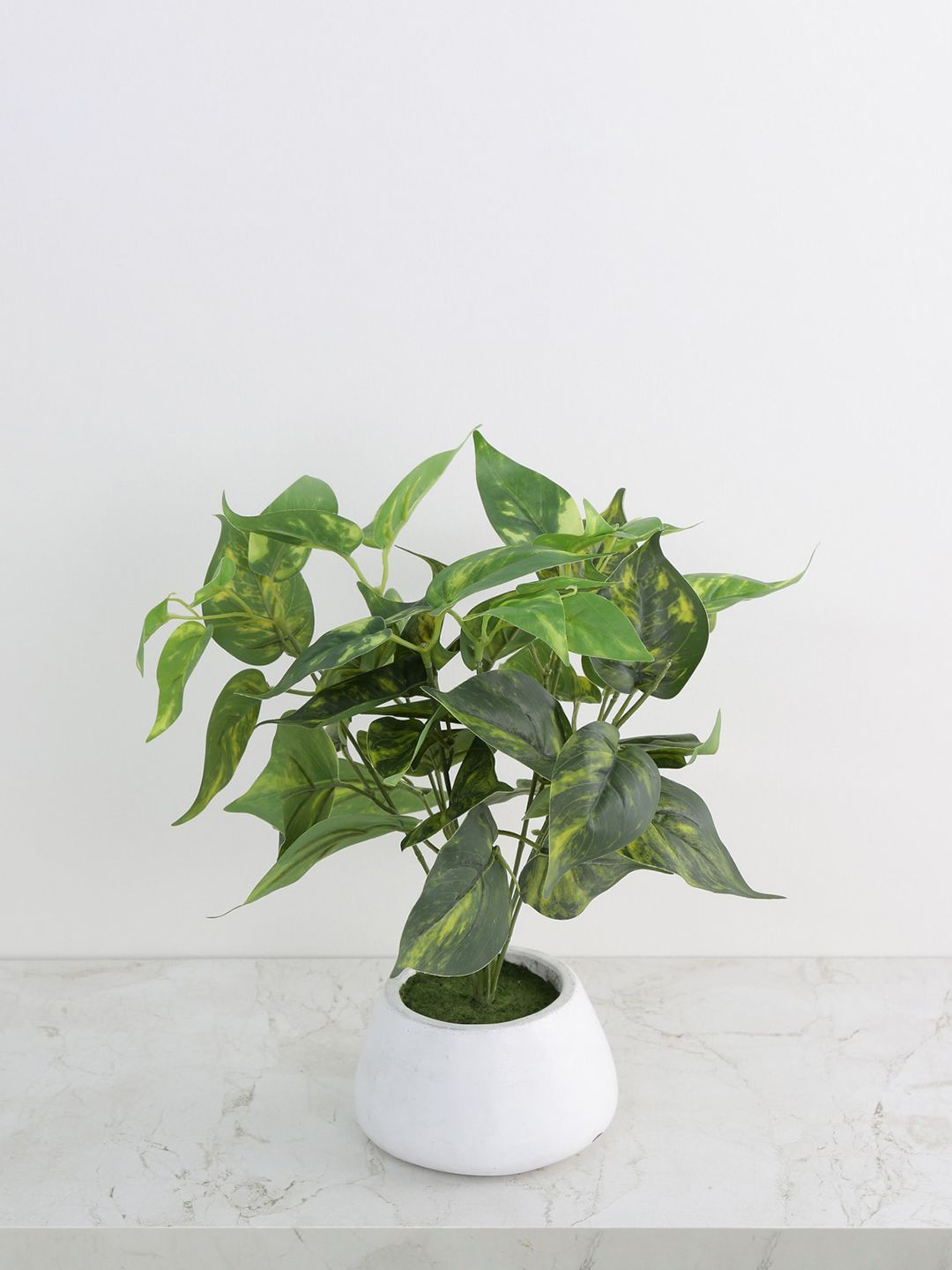 Home Centre Green Artificial Plant With Ceramic Pot Price in India