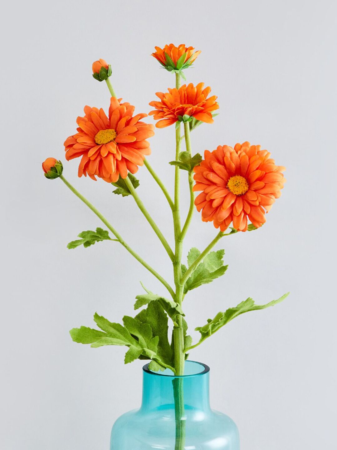 Home Centre Orange & Green Artificial Daisy Plastic Plant Price in India