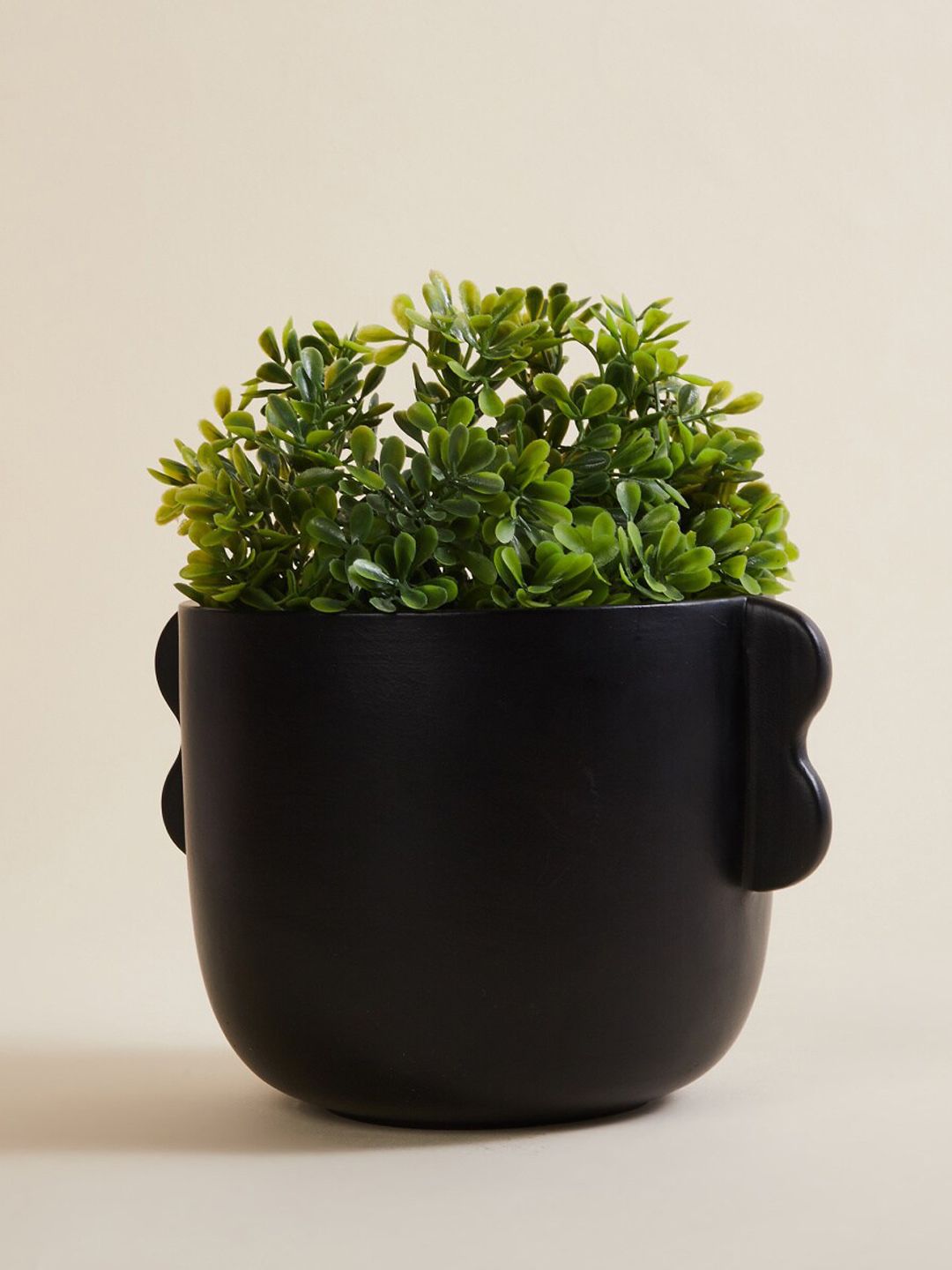 Home Centre Black Solid Ceramic Planter Price in India