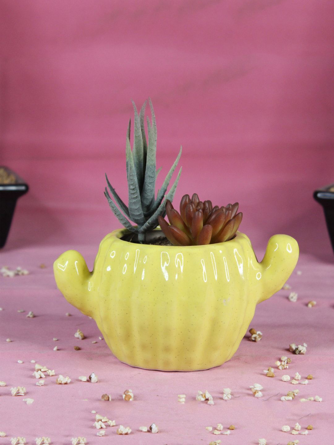 Wonderland Yellow Cactus Shape Ceramic Pot Without Plant Price in India