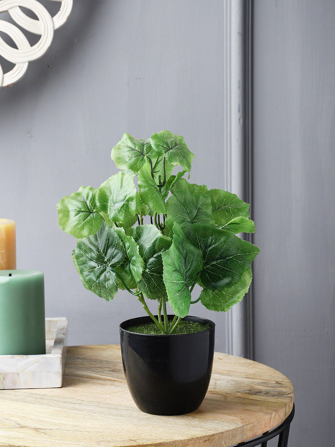 FOLIYAJ Green & Black Ivy Artificial Plant With Pot Price in India