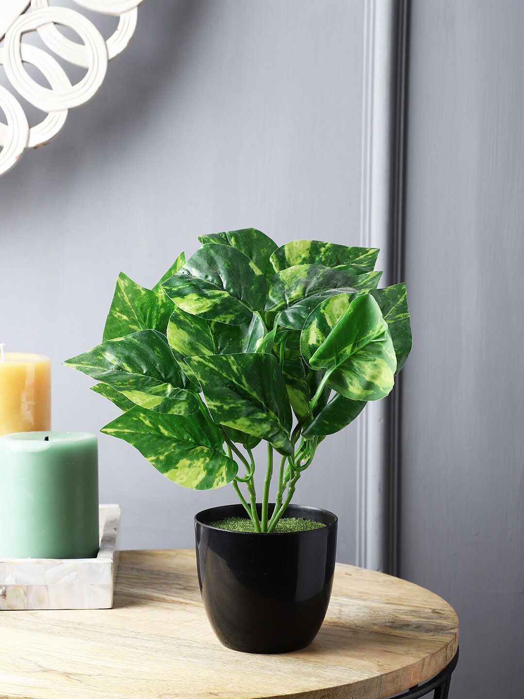 FOLIYAJ Green & Black Artificial Money Plant with Pot Price in India