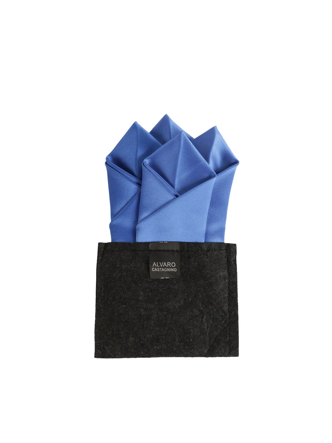 Alvaro Castagnino Men Blue Solid Pocket Squares