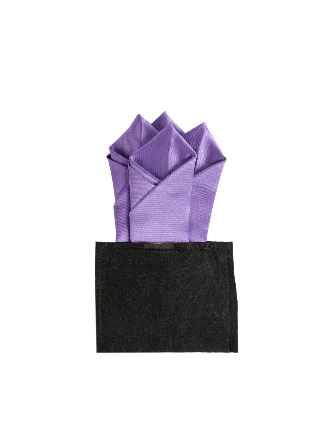 Alvaro Castagnino Men Purple Solid Pocket Squares
