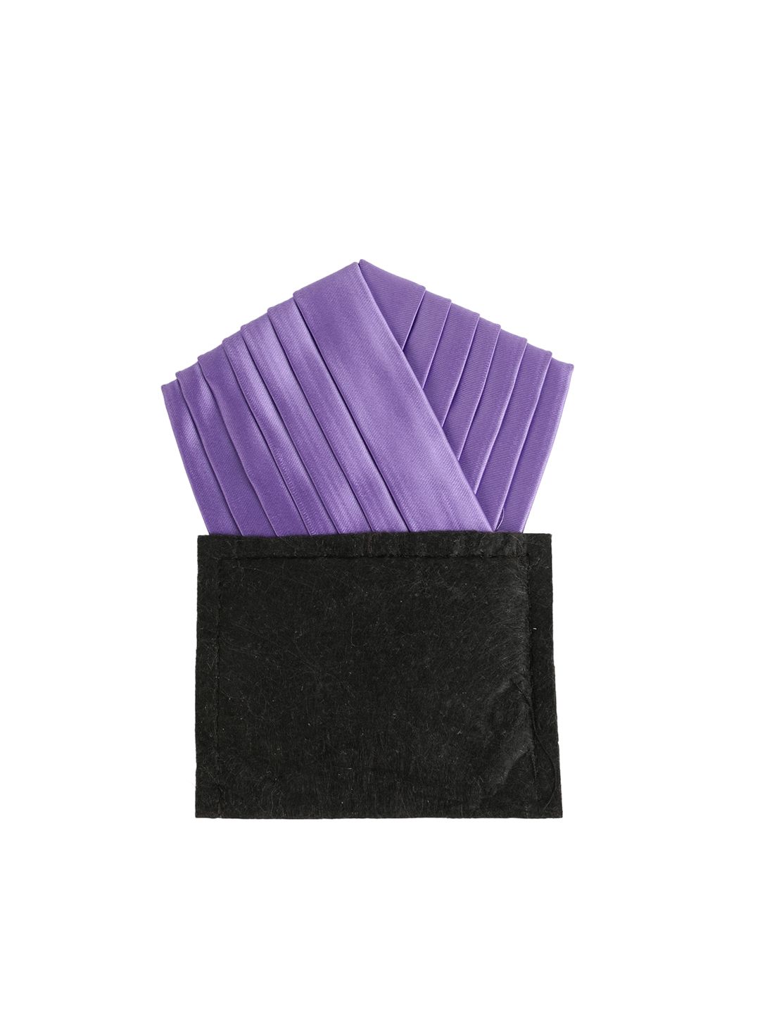 Alvaro Castagnino Men Purple Solid Pocket Squares