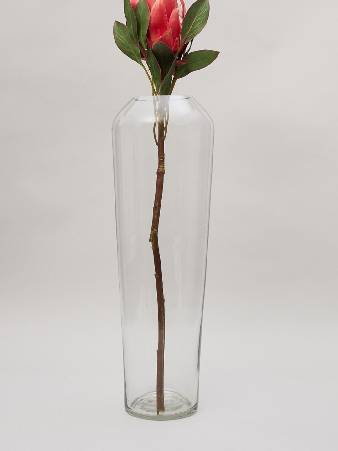 Home Centre Transparent Contour Glass Floor Vase Price in India