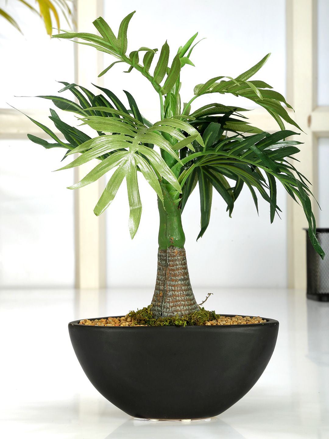 Fourwalls Green & Black Artificial Roystonea Bonsai Plant with Ceramic Pot Price in India