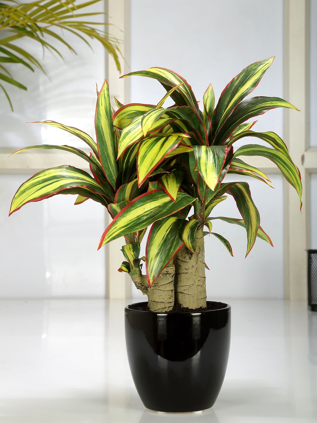 Fourwalls Green & Black Artificial Calathea Bonsai Plant with Ceramic Pot Price in India