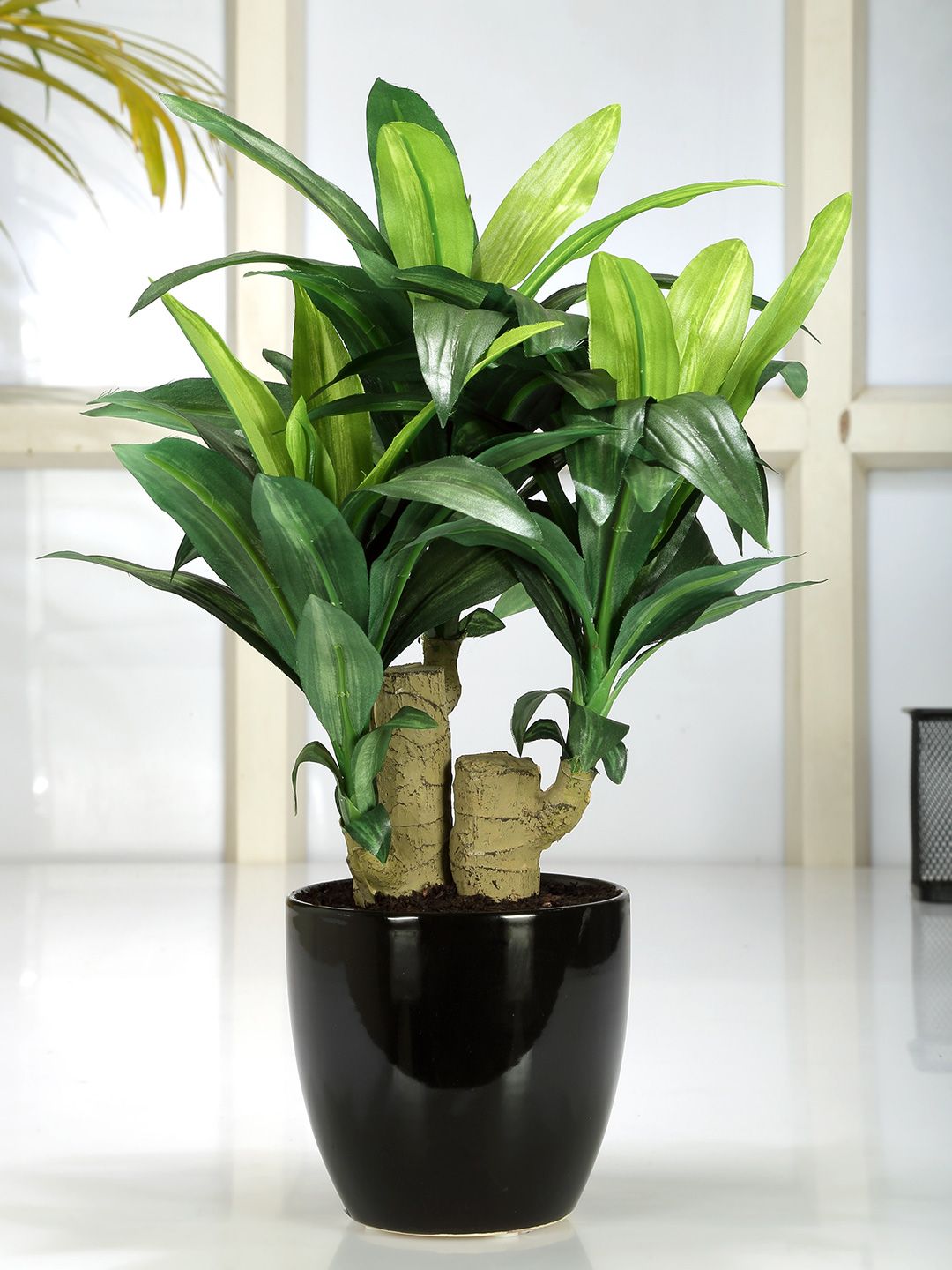 Fourwalls Green & Black Artificial Dracaena Bonsai Plant Price in India