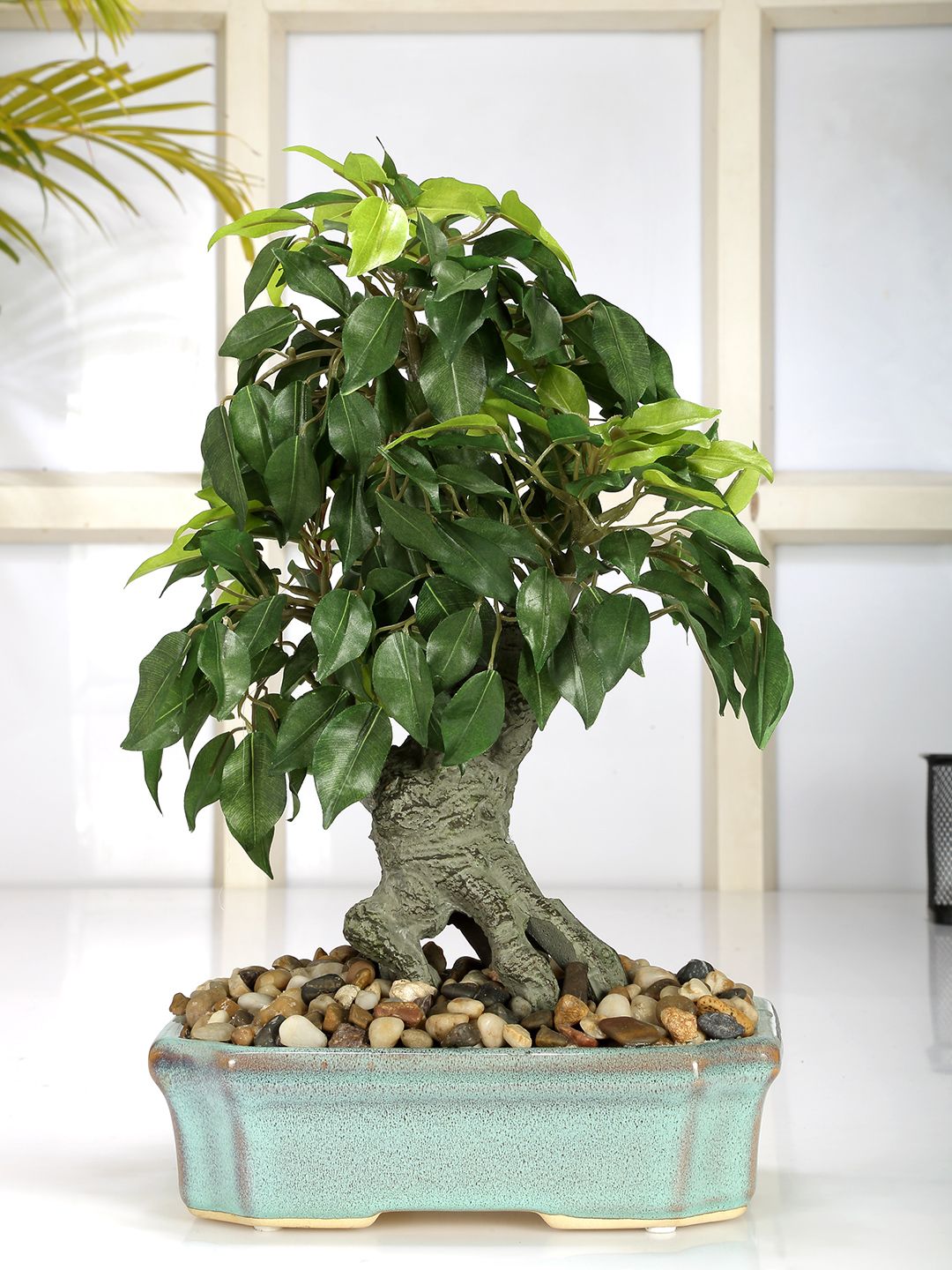 Fourwalls Green & Blue Artificial Ficus Bonsai Plant Price in India