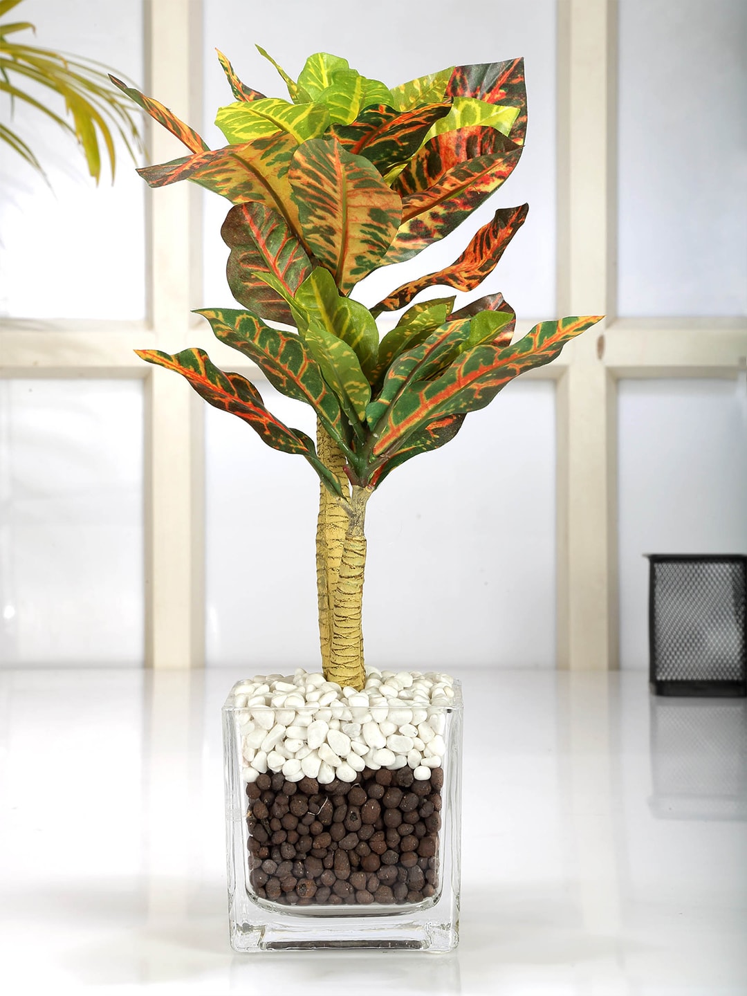 Fourwalls Green & Yellow Artificial Croton Bonsai Plant With Glass Pot Price in India