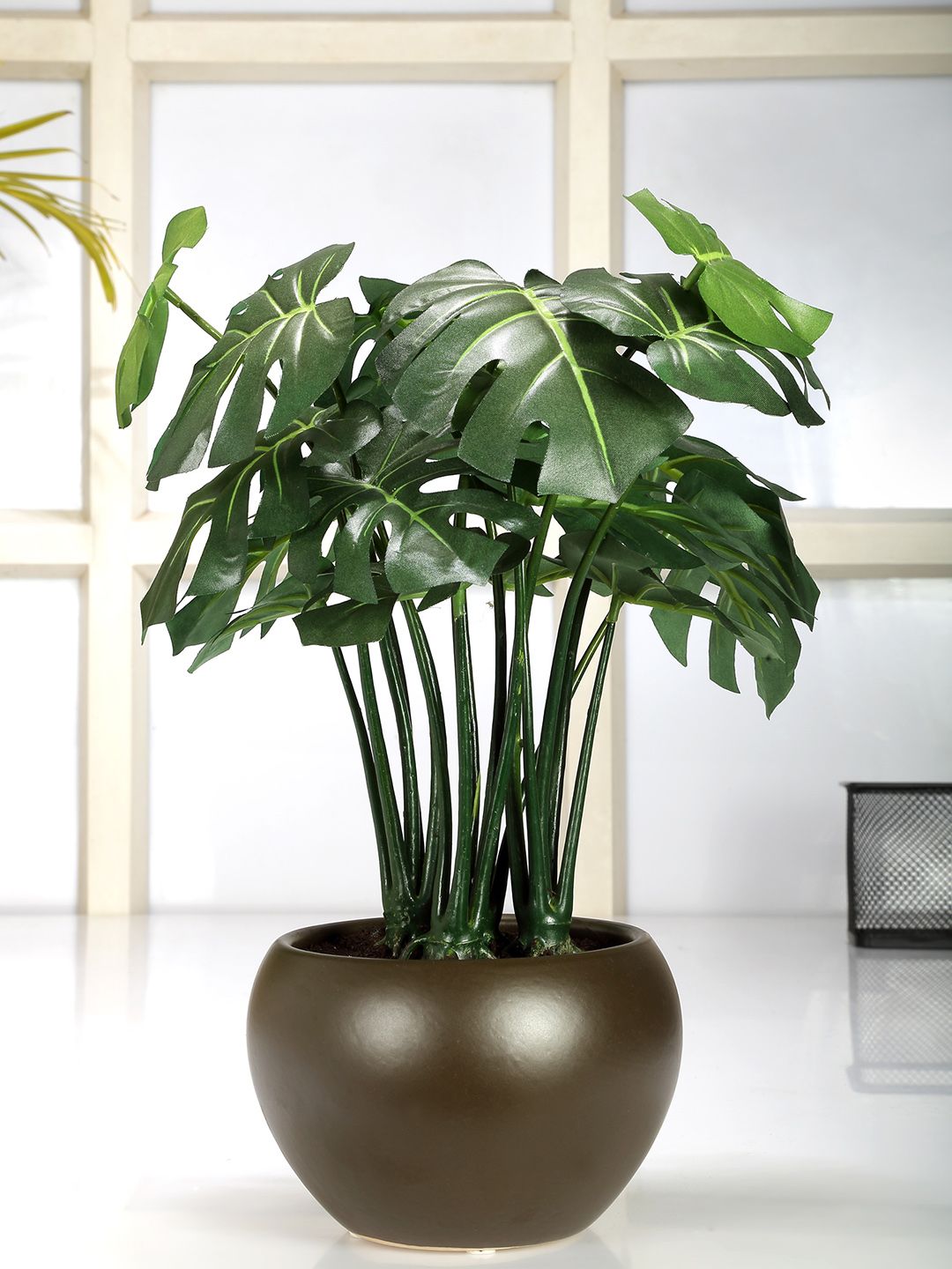 Fourwalls Green & Brown Artificial Philodendron Bonsai Plant With Ceramic Pot Price in India