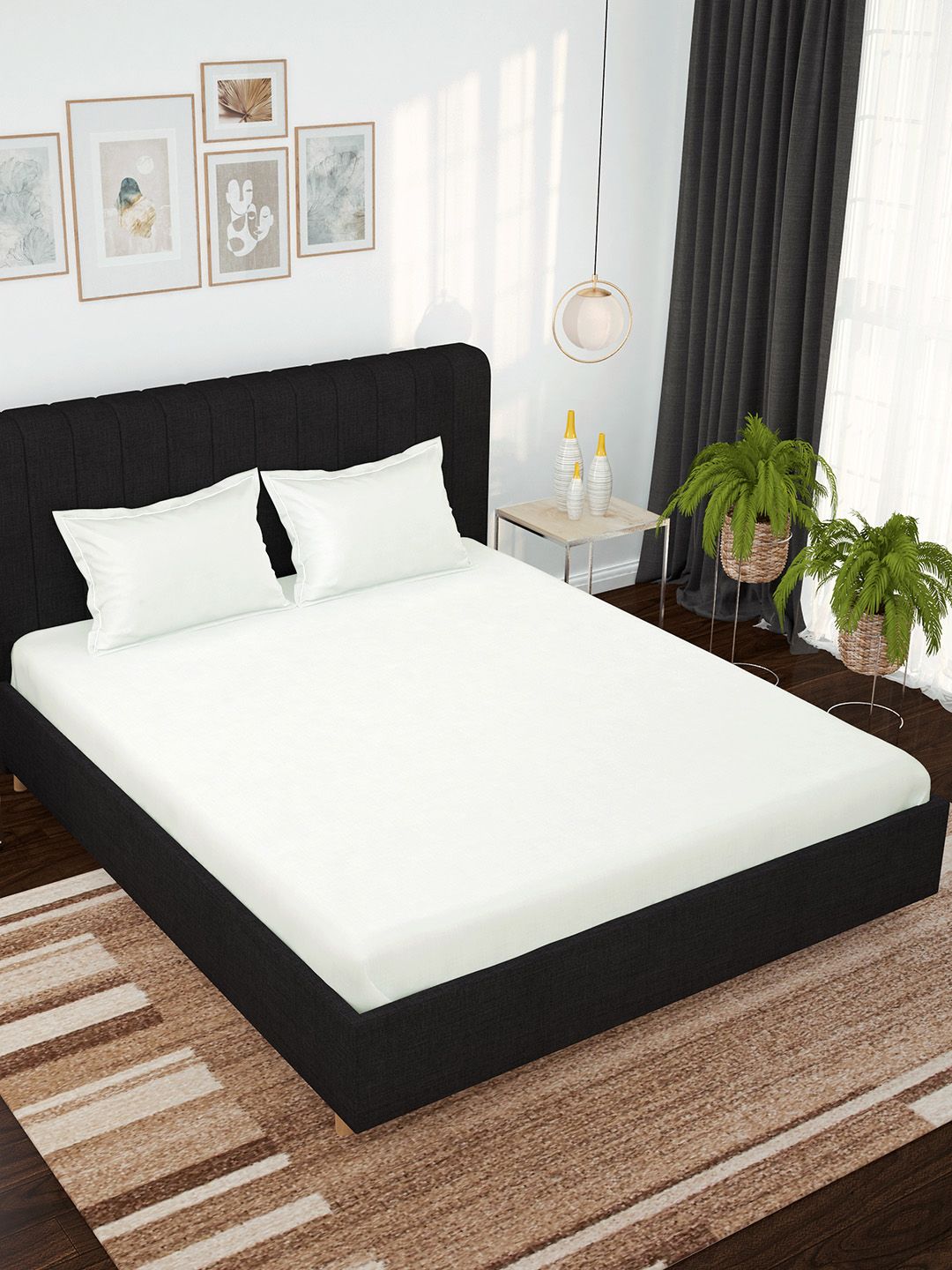 Story@home White 500 TC Pure Cotton King Bedsheet with 2 Pillow Covers Price in India