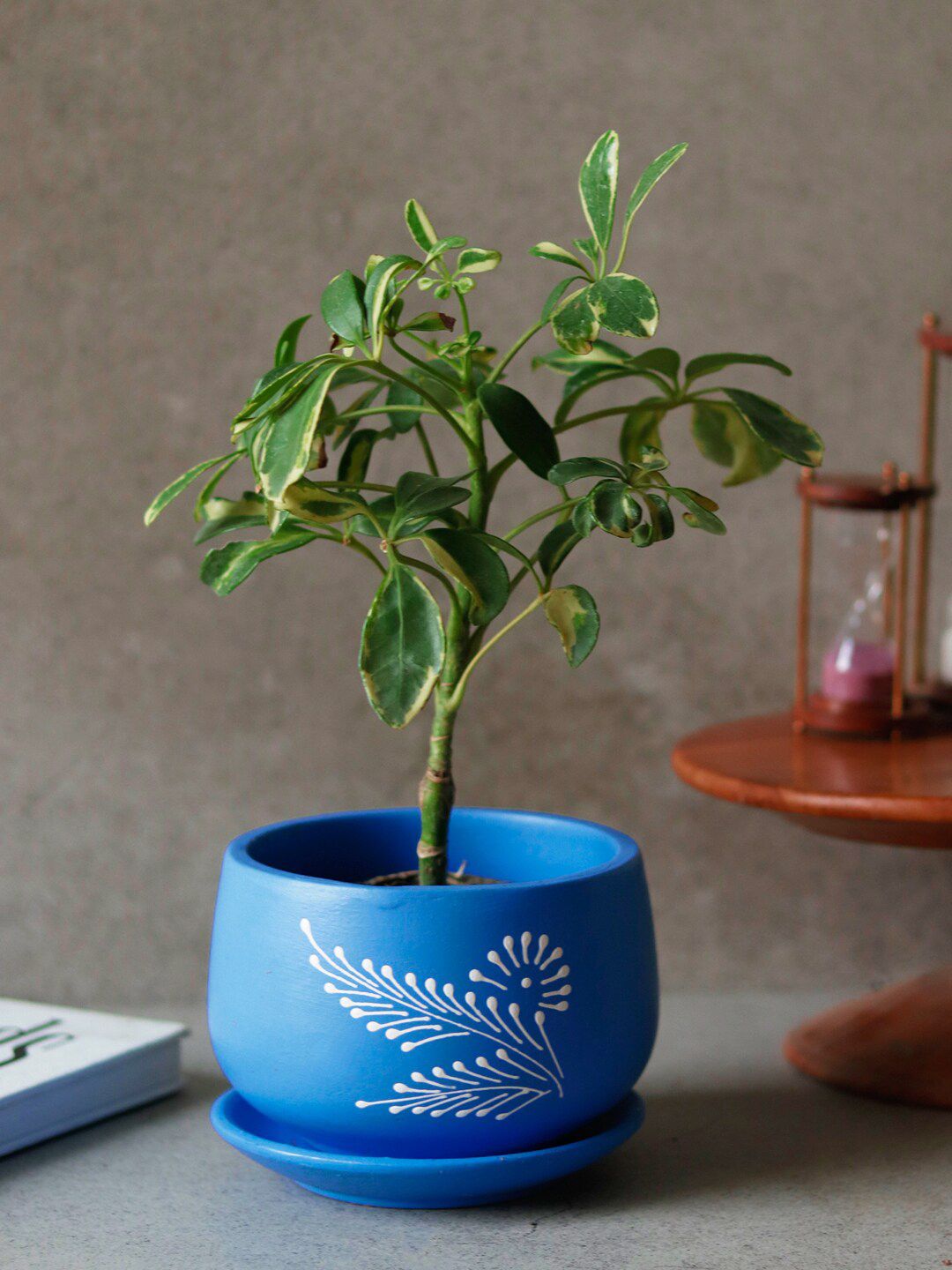 Unravel India Blue Printed Planter With Tray Price in India